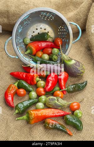 Una foto di concetto di verdure assortite di peperoni, melanzane e pomodori ciliegini da un colino su un burlap. Foto Stock