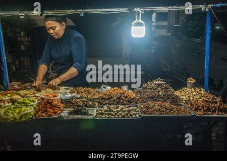 Una donna cambogiana vende insetti fritti in una bancarella all'aperto durante il Cambodian Water Festival, Phnom Penh, Cambogia, Indocina. © Kraig Lieb Foto Stock