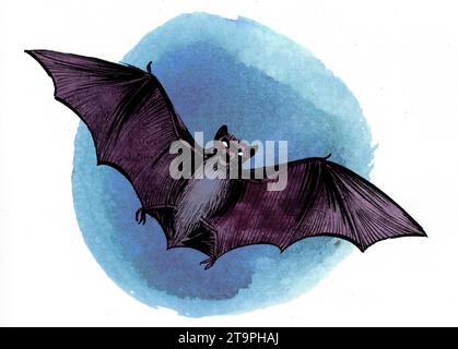Pipistrello volante. Disegno a mano con inchiostro e acquerello Foto Stock