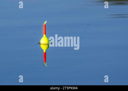 Angler's Fishing Bobber/ galleggiante/ nel lago calmo/ laghetto riflesso nella Chippewa National Forest, Minnesota settentrionale USA Foto Stock