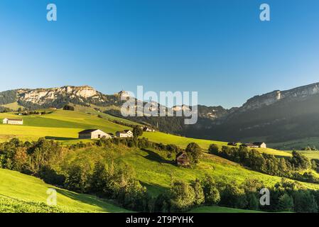 Appenzellerland, paesaggio con fattorie e prati verdi, vista di Hoher Kasten tra le montagne Alpstein, Bruelisau, Canton Appenzell, Svizzera Foto Stock