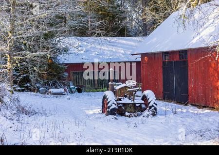 Vecchio trattore nei granai rossi in una fredda giornata invernale Foto Stock