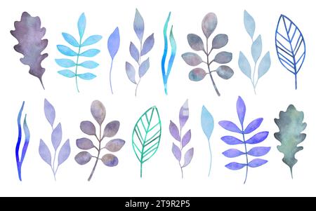 Collezione di rami e foglie blu e viola ad acquerello. Clipart botanico nei colori invernali. Forme semplici minimalistiche e varie per la progettazione di carte, Foto Stock
