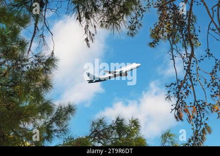 Aeroplano che vola al di sopra della foresta, vista dal basso Foto Stock