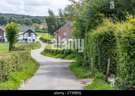 Stretta strada rurale vuota e tortuosa tra fattorie agricole, cespugli e appezzamenti, collina con alberi frondosi sullo sfondo, cielo coperto da nuvole bianche, sunn Foto Stock