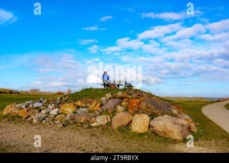 Riserva naturale belga De Wissen con un punto panoramico turistico su una collina tra i sentieri, escursionista anziano che ammira il paesaggio vicino al suo bassotto, sunn Foto Stock