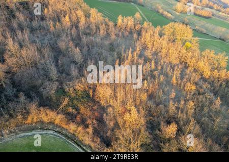 Foto aerea con drone vista panoramica dei vigneti a filari durante l'inverno nella Valle dell'Arda foto ad alta risoluzione Foto Stock