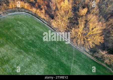 Foto aerea con drone vista panoramica dei vigneti a filari durante l'inverno nella Valle dell'Arda foto ad alta risoluzione Foto Stock