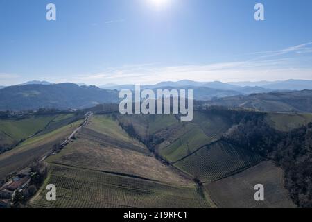 Foto aerea con drone vista panoramica dei vigneti a filari durante l'inverno nella Valle dell'Arda foto ad alta risoluzione Foto Stock