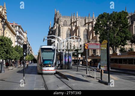 Il tram ferma vicino alla cattedrale in Avenida de la Constitucion a Siviglia, Andalusia, Spagna. Foto Stock