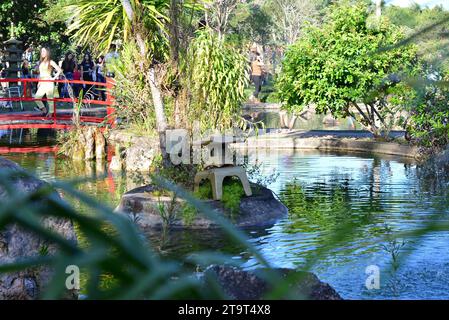 Città: Marilia, São Paolo, Brasile - 3 luglio 2022: Turisti che visitano un giardino giapponese in occasione di un festival della fioritura dei ciliegi nell'interno del Brasile, panoramica Foto Stock