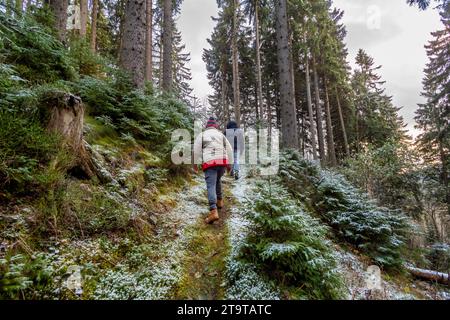 donna con cappello bobble in piedi all'obiettivo nella foresta autunnale Foto Stock