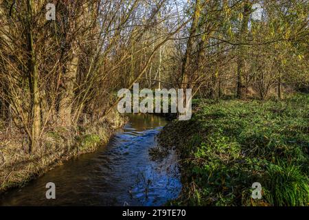 Dortmund, Renaturalized Emscher in Dortmund Aplerbeck. Il fiume è stato trasformato in un campo d'acqua quasi naturale Foto Stock