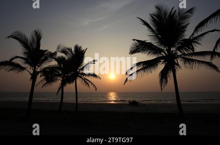 Una vista generale delle palme da cocco e di una barca da pesca sulla spiaggia mentre il sole tramonta a Colva Beach a Goa, India Foto Stock