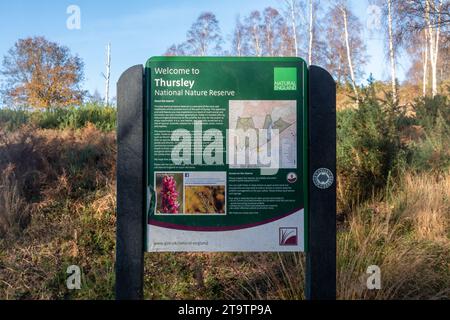 Comitato informativo presso Thursley Common National Nature Reserve, Surrey, Inghilterra, Regno Unito Foto Stock