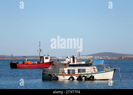 Pescherecci da traino ancorati nella baia di Saldanha, sulla costa occidentale del Sudafrica Foto Stock