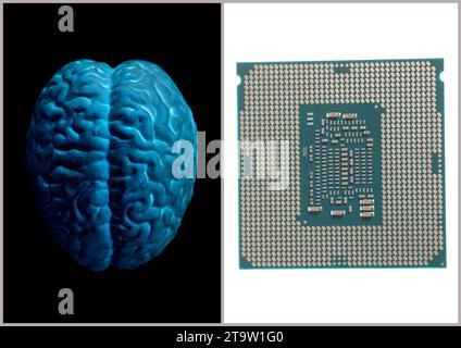 Modello anatomico del cervello umano con microchip processore CPU. Foto Stock