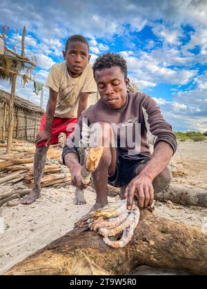 Madagascar, preparazione di polpi Foto Stock