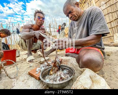 Madagascar, preparazione di polpi Foto Stock