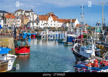 Barche da pesca nel porto di Pittenweem, nella zona est di Neuk di Fife, Scozia, Regno Unito Foto Stock