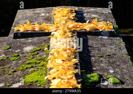 L'autunno è arrivato nel sud-ovest della Francia. Colori autunnali in un cimitero di campagna. Foglie d'autunno gialle sulla croce cattolica di un'antica tomba in Foto Stock