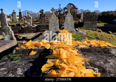 L'autunno è arrivato nel sud-ovest della Francia. Colori autunnali in un cimitero di campagna. Foglie d'autunno gialle sulla croce cattolica di un'antica tomba in Foto Stock