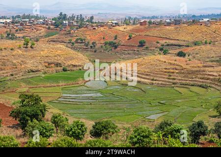 Terrazze di riso malgasce / risaie e villaggio rurale nella campagna degli altopiani centrali / Hauts-Plateaux, Madagascar, Africa Foto Stock