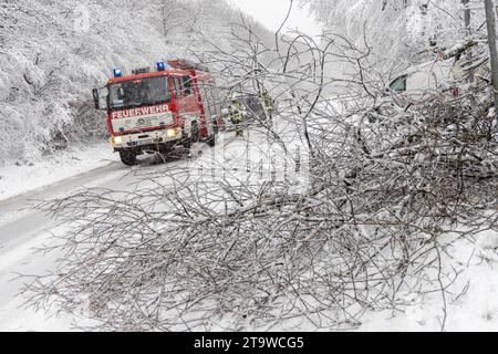 Schneefall und Schneebruch im Taunus Einsatzkräfte der Feuerwehr sind auf der Landstraße in Richtung Großer Feldberg wegen Schneebruch im Einsatz. IM Taunus Gilt derzeit noch eine Unwetterwarnung vor heftigen Schneefällen., Oberursel Hessen Deutschland *** nevicate e rotture di neve nel Taunus i servizi di emergenza dei Vigili del fuoco sono in servizio sulla strada di campagna verso Großer Feldberg a causa di rottura della neve attualmente è ancora in vigore Un grave allarme meteorologico per forti nevicate nel Taunus, Oberursel Assia Germania crediti: Imago/Alamy Live News Foto Stock