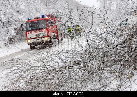 Schneefall und Schneebruch im Taunus Einsatzkräfte der Feuerwehr sind auf der Landstraße in Richtung Großer Feldberg wegen Schneebruch im Einsatz. IM Taunus Gilt derzeit noch eine Unwetterwarnung vor heftigen Schneefällen., Oberursel Hessen Deutschland *** nevicate e rotture di neve nel Taunus i servizi di emergenza dei Vigili del fuoco sono in servizio sulla strada di campagna verso Großer Feldberg a causa di rottura della neve attualmente è ancora in vigore Un grave allarme meteorologico per forti nevicate nel Taunus, Oberursel Assia Germania crediti: Imago/Alamy Live News Foto Stock