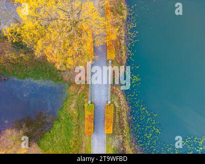 Splendido stile turistico o di viaggio, ammira dall'alto il ponte pedonale che attraversa il fiume al parco con colorate foglie autunnali che costeggiano le rive del fiume Foto Stock