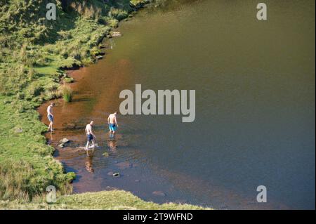Nuoto selvatico, Llyn Cwm Llwch, lago glaciale, Cwm Llwch, Powys, Galles, Regno Unito Foto Stock