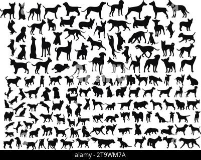 Set di silhouette per cani. collezione di personaggi cuccioli di colore nero piatto in diverse pose. Set di divertenti animali domestici Illustrazione Vettoriale