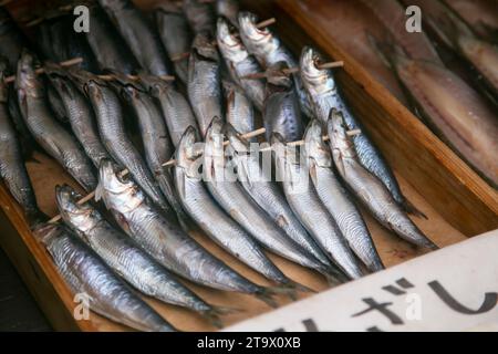 Ito, Giappone; 1 ottobre 2023: Pesce in un negozio di pesce essiccato a Ito City, Shizuoka, Giappone. Foto Stock