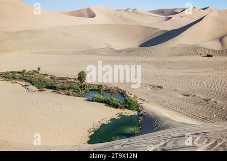 Oasi nel deserto di sabbia vicino alla città di Ica in Perù. Lago e alberi all'interno delle dune Foto Stock