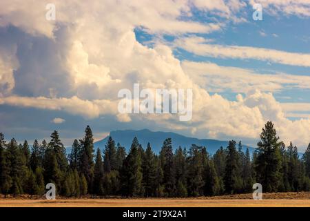 Lo splendido paesaggio dell'alto deserto dell'Oregon vicino a Sisters, Oregon, prende il nome dalle vicine vette dei vulcani chiamate "le tre Sorelle" nella parte orientale della regione Foto Stock
