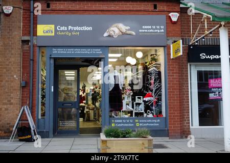 Negozio di beneficenza per la protezione dei gatti, Cleveleys Lancashire Foto Stock