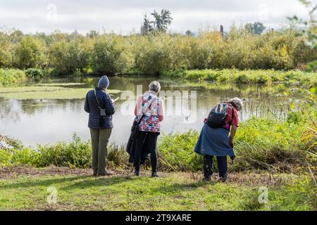 Tre donne anziane birdwatching Foto Stock