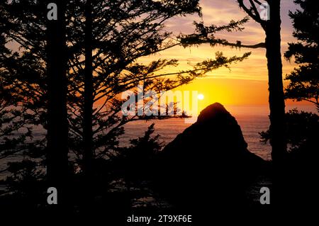 Pappagallo e roccia conica tramonto, Heceta Head Lighthouse State Park, Oregon Foto Stock