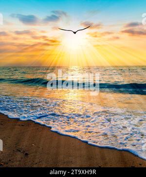 La silhouette degli uccelli si innalza sopra le nuvole colorate sull'oceano al tramonto verticale Foto Stock