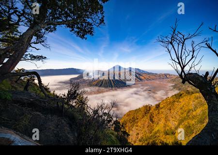 Incredibile vulcano del Monte Bromo durante il cielo soleggiato dal punto panoramico di King kong sulla montagna Penanjakan nel Parco Nazionale Bromo Tengger Semeru, Giava Est, Indonesia Foto Stock