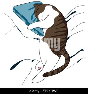 Immagine di un gatto che dorme sul cuscino Foto Stock