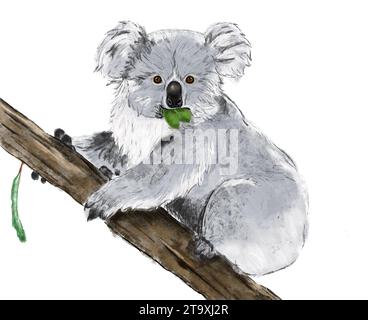 Simpatico koala sull'albero che mangia un'illustrazione di foglie Foto Stock