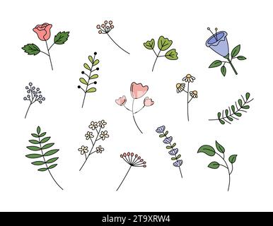 Set di coloratissimi doodle con fiori. Illustrazione vettoriale. Graziosi elementi floreali disegnati a mano. Piante decorative su sfondo bianco Illustrazione Vettoriale