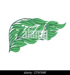 Fegato umano sano da foglie isolate dallo sfondo. L'organo interno di un vegetariano. Prendersi cura del corpo. Trapianto Illustrazione Vettoriale