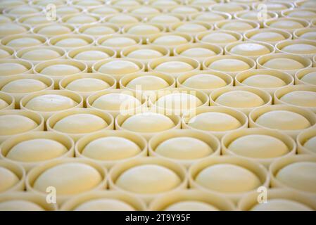 Sala di lavoro del caseificio Molí de l'Alzina, a Cantonigròs (Osona, Barcellona, Catalogna, Spagna) ESP: Obrador de la quesería Molí de l'Alzina Foto Stock