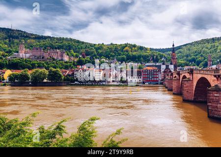 Il vecchio ponte Neckar e città di Heidelberg, Germania Foto Stock