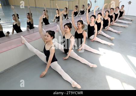 HANDAN, CINA - 28 NOVEMBRE 2023 - gli studenti praticano le abilità di base in un centro di formazione di danza a Handan, nella provincia di Hebei nella Cina settentrionale, 28 novembre 2023. Foto Stock