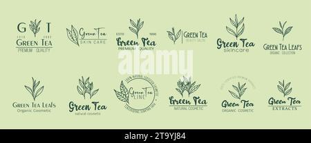 Tè verde emblema minimale, cosmetici biologici naturali. Set vettoriale di etichette serene e frondose che incarnano la purezza e l'essenza della natura, esaltando il fascino di prodotti o estratti di bellezza ecologici Illustrazione Vettoriale