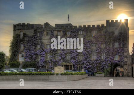 Castle Hotel, Taunton all'alba con glicine in fiore Foto Stock