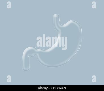 Corpo umano organo stomaco organismo concetto e modello 3d medico. Anatomia umana, mal di stomaco, organo islodato, organo del corpo umano, vettore degli organi interni Foto Stock